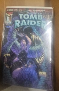Tomb Raider #19