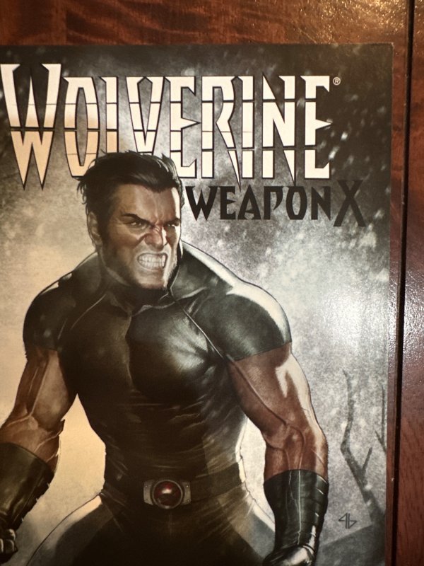 Wolverine Weapon X #4 Granov Cover (2009)