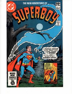 The New Adventures of Superboy #21 Bronze Age DC !!!