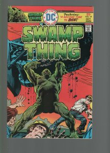 Swamp Thing #19 VF/NM 