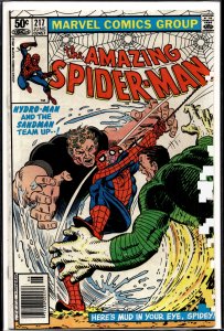 The Amazing Spider-Man #217 (1981) Spider-Man