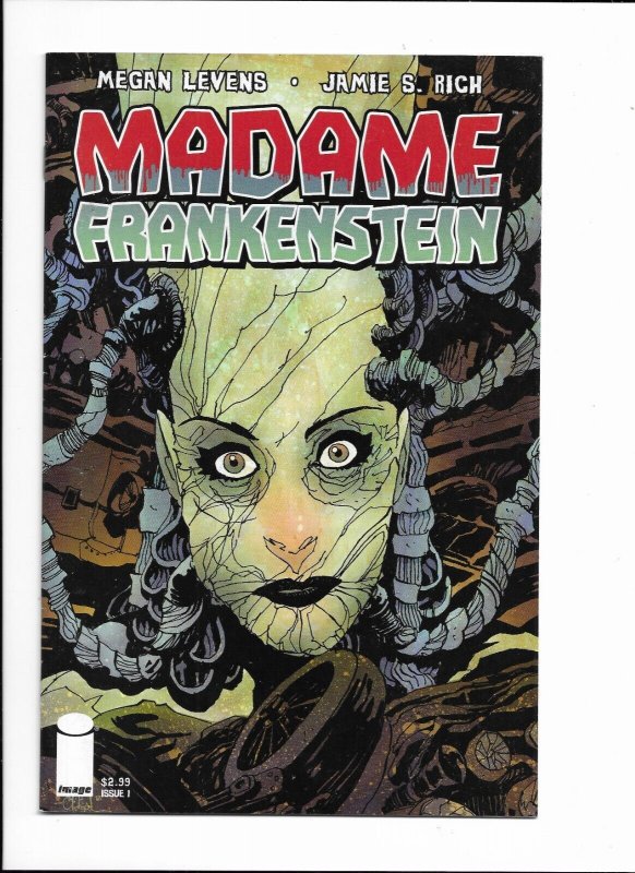 Madame Frankenstein #1 (Image Comics 2014) Excellent