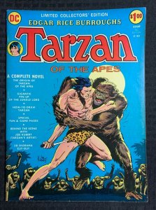 1973 TARZAN OF THE APES C-22 FN 6.0 DC Treasury / Joe Kubert