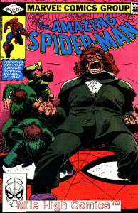 SPIDER-MAN  (1963 Series) (AMAZING SPIDER-MAN)  #232 Fair Comics Book