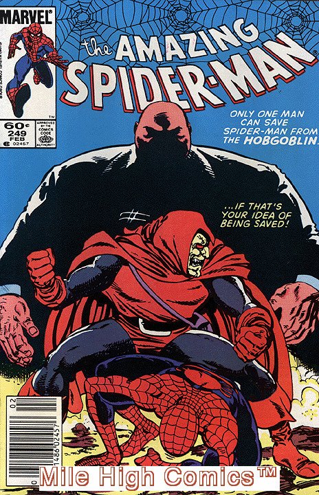SPIDER-MAN  (1963 Series) (AMAZING SPIDER-MAN)  #249 NEWSSTAND Fine Comics