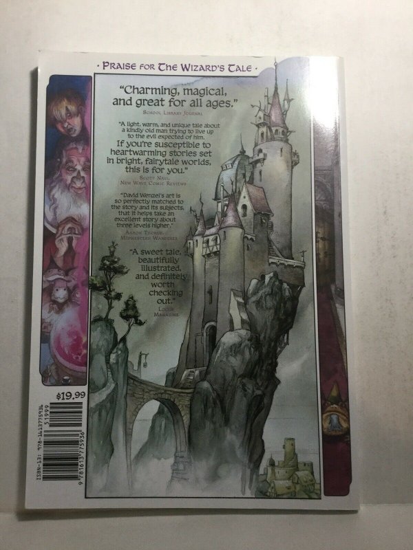 The Wizards Tale Tpb Nm Near Mint Kurt Busiek David T Wenzel IDW