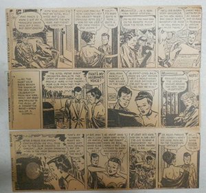 (310) Steve Canyon Dailies by Milton Caniff  from 1949 Complete Year !