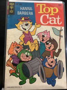 Top Cat #21