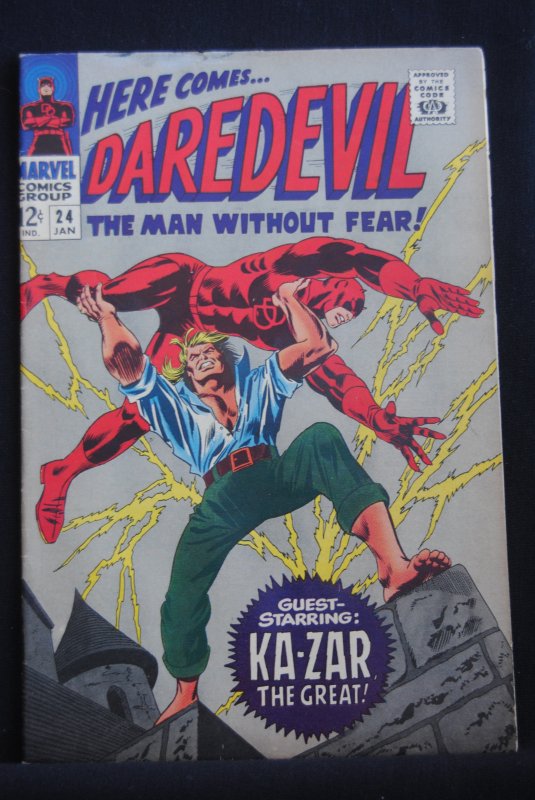 Daredevil 24, 6.0, Tongie Farm Collection