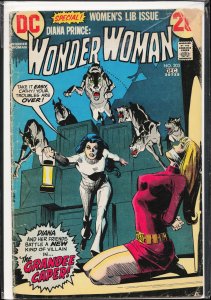 Wonder Woman #203 (1972) Wonder Woman