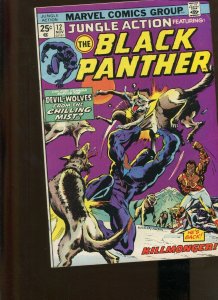 JUNGLE ACTION FT. THE BLACK PANTHER #12 (6.0) KILLMONGER! 1974