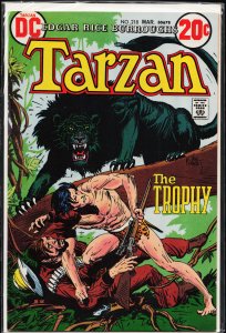 Edgar Rice Burroughs' Tarzan #218 (1973)