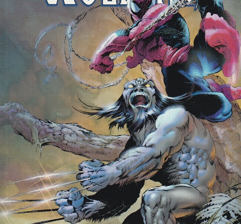 Marvel Knights: Spider-Man & Wolverine #1 (2003)