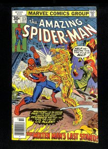 Amazing Spider-Man #173