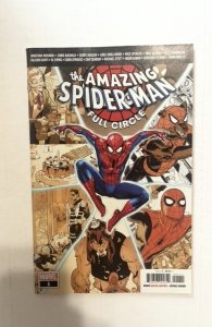 Amazing Spider-Man: Full Circle (2019)