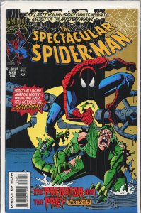 The Spectacular Spider-Man #216 (1994) Spider-Man