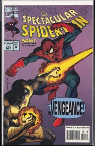 The Spectacular Spider-Man #212 (1994) Spider-Man