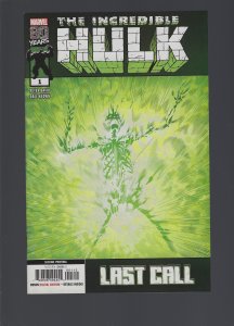 Incredible Hulk: Last Call #1 (2019)