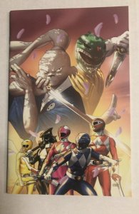 Mighty Morphin Power Rangers Usagi Yojimbo #1 1:10 Variant