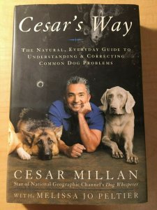 4 Books The Two Faces of Tomorrow There Are Doors Cesar's Way Curious MFT2
