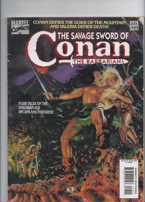 The Savage Sword of Conan #213 (1993)