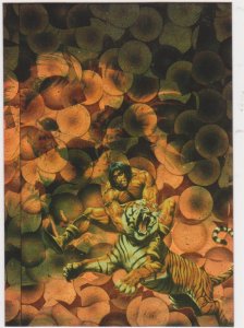 1994 Comic Images All Chromium Conan II Prism Card #P2