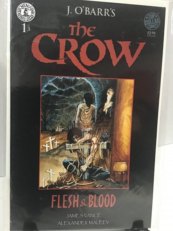 The Crow: Flesh and Blood #1 (1996)