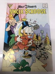 Walt Disney’s Uncle Scrooge (1986) # 213 (FN/VF) Canadian Price Variant • CPV