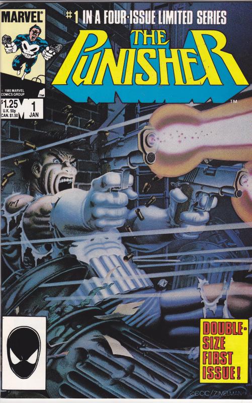 Punisher #1