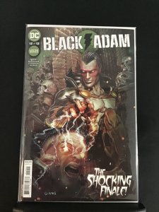 Black Adam #12 (2023)