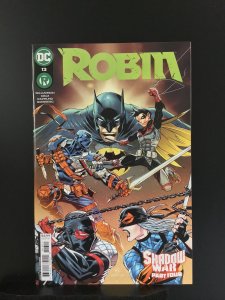 Robin #13 Roger Cruz & Norm Rapmund Cover (2022)