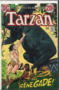 Edgar Rice Burroughs' Tarzan #216 (1973)