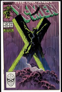 The Uncanny X-Men #251 (1989) X-Men