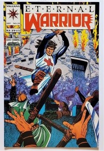 Eternal Warrior #25 (Sep 1994, Acclaim / Valiant) NM  