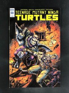 Teenage Mutant Ninja Turtles #68 Cover B (2017)