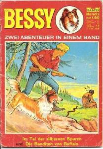 ImTal der silbernen Spuren ; Die Banditen von Buffalo