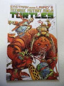 Teenage Mutant Ninja Turtles #43 (1992) VF Condition