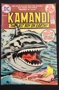 Kamandi, The Last Boy on Earth #15 (1974)