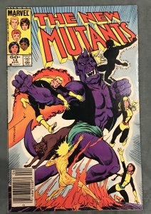 The New Mutants #14 Newsstand Edition (1984)