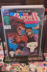 The Punisher #77 Newsstand Edition (1993)