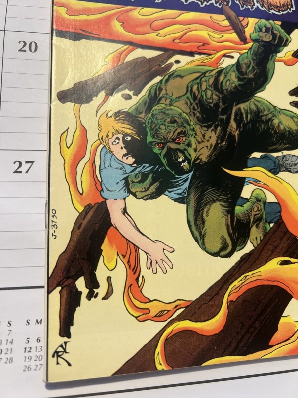 Swamp Thing #14
