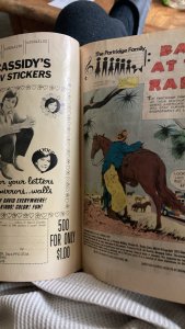 Partridge Family #7 (1972)