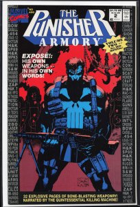 The Punisher Armory #2