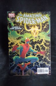 The Amazing Spider-Man #504 (2004)