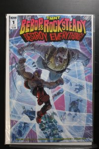 Teenage Mutant Ninja Turtles: Bebop & Rocksteady Destroy Everything (2016)
