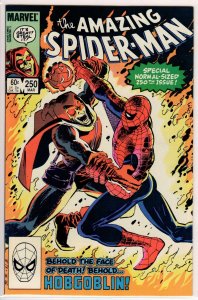 The Amazing Spider-Man #250 Direct Edition (1984) 9.0 VF/NM