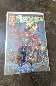 The Supernaturals Tour Book (1998)