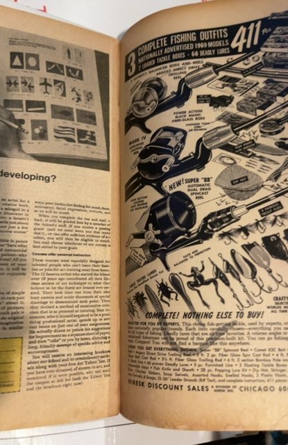 The Amazing Spider-Man #74 (1969) Silverman see description