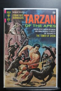 Tarzan #204 (1971)