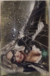 Black Cat #1 NM GREG HORN - COVER B - VIRGIN
